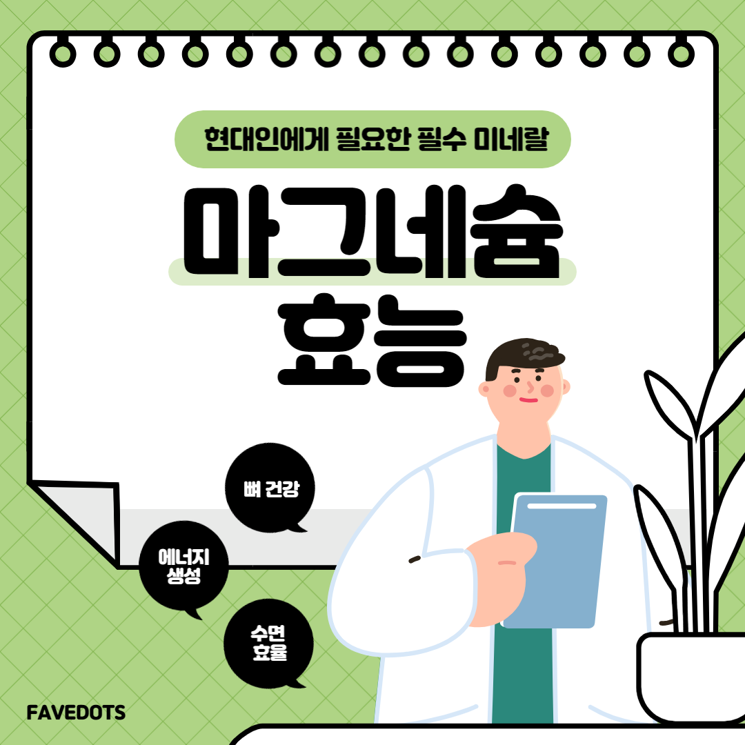 마그네슘 효능